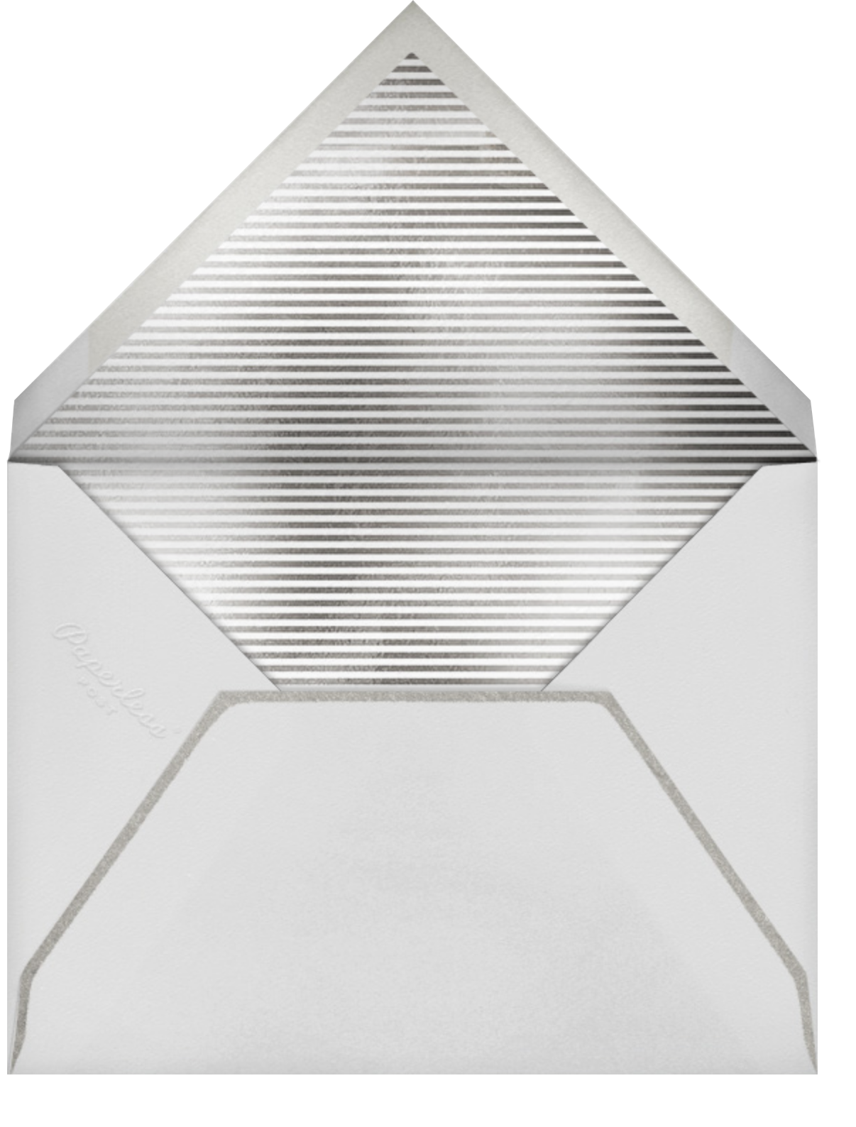Snapshot Silver - Tall - Paperless Post - Envelope