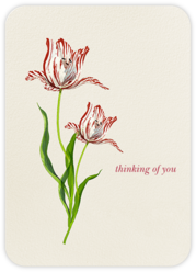 Sympathy Cards Send Online Instantly Track Opens