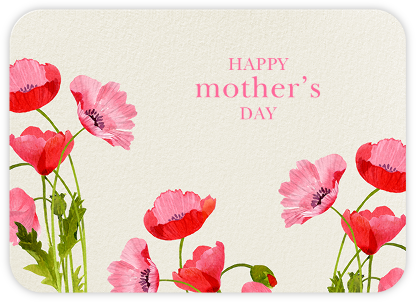 Wild Poppies - Felix Doolittle - Mother's Day Cards