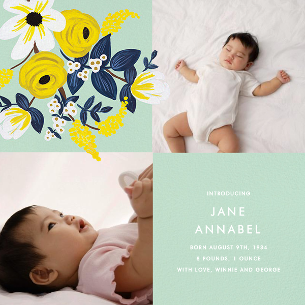 paperless post birth announcement
