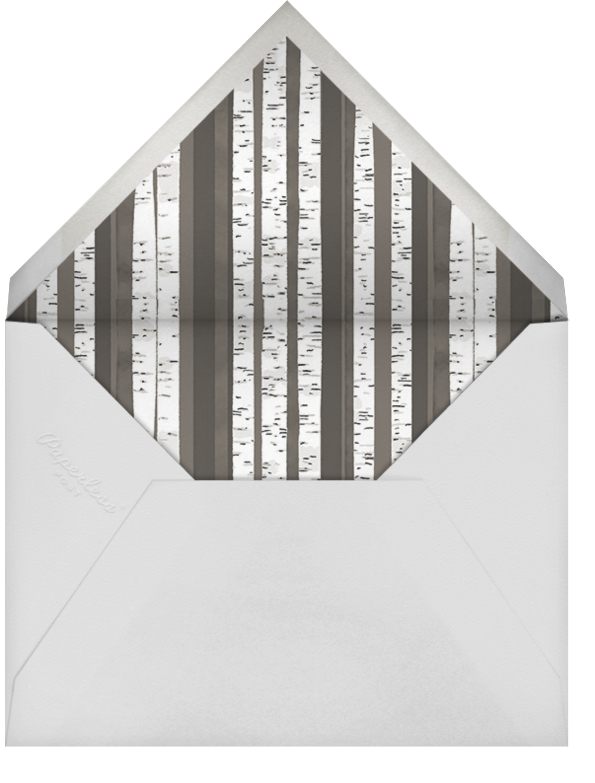 Birch Bark (Square) - Paperless Post - Envelope