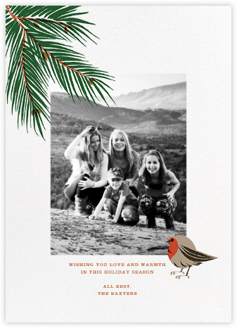 Finch and Fir (Tall) - Paperless Post - Holiday Photo Cards 