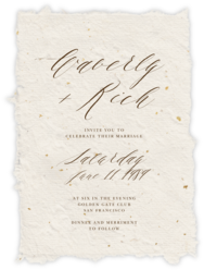 Online Wedding Invitations Send Online Instantly Rsvp Tracking
