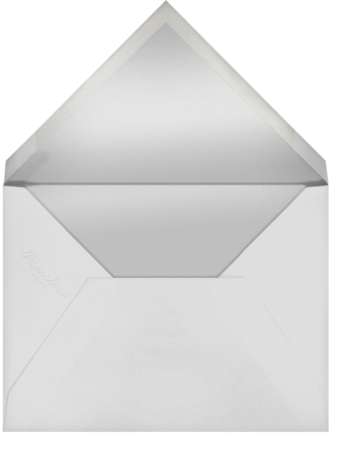 Custom Thin Foil (Horizontal) - Silver - Paperless Post - Envelope