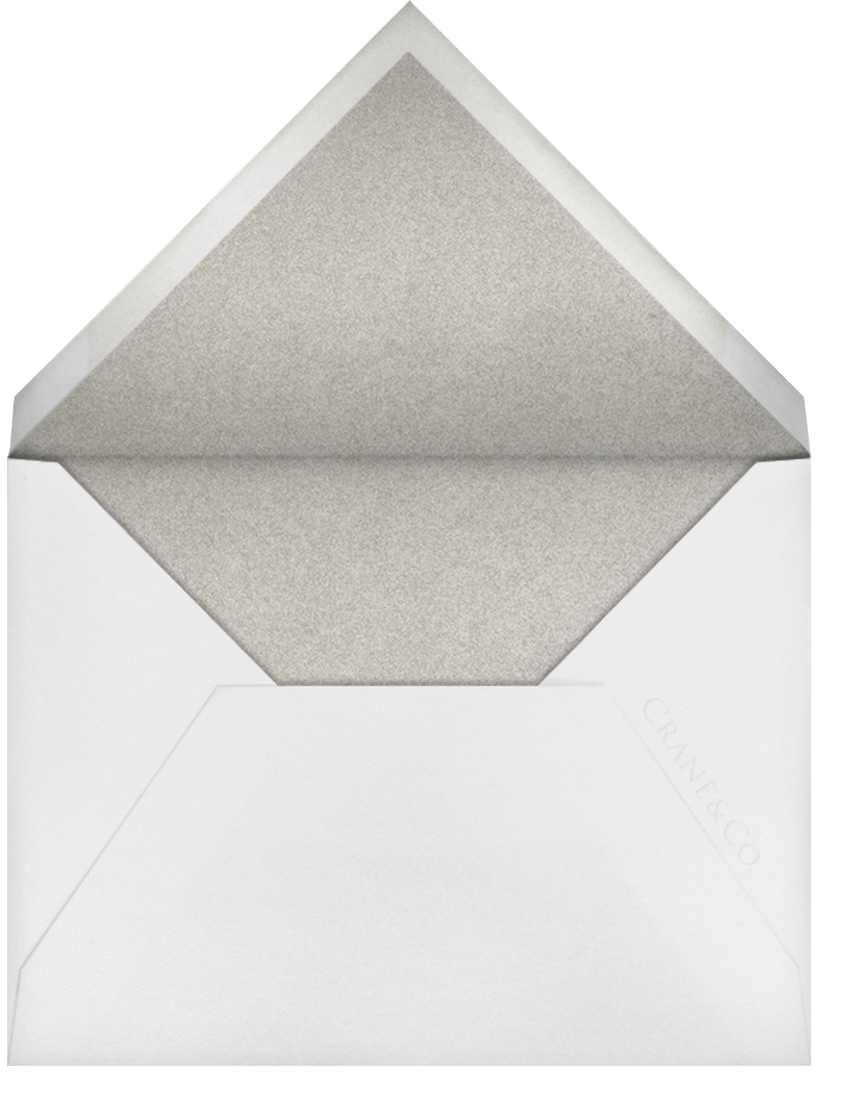 Gwendolyn I (Save The Date) - Platinum - Paperless Post - Envelope