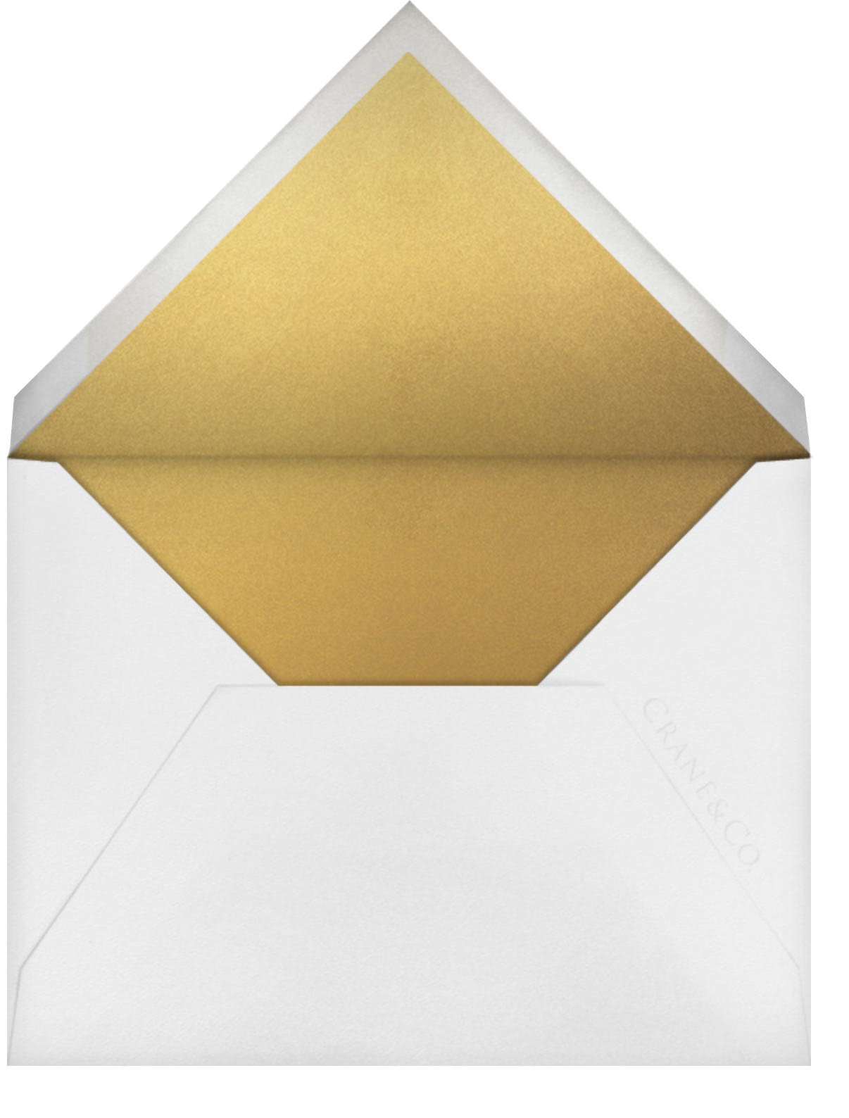 Painted Border - Black - Paperless Post - Envelope