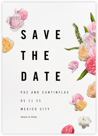 Brunswick (Save the Date) - Paperless Post - Party Save the Dates
