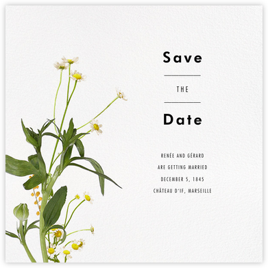 Rhône (Save the Date) - Paperless Post