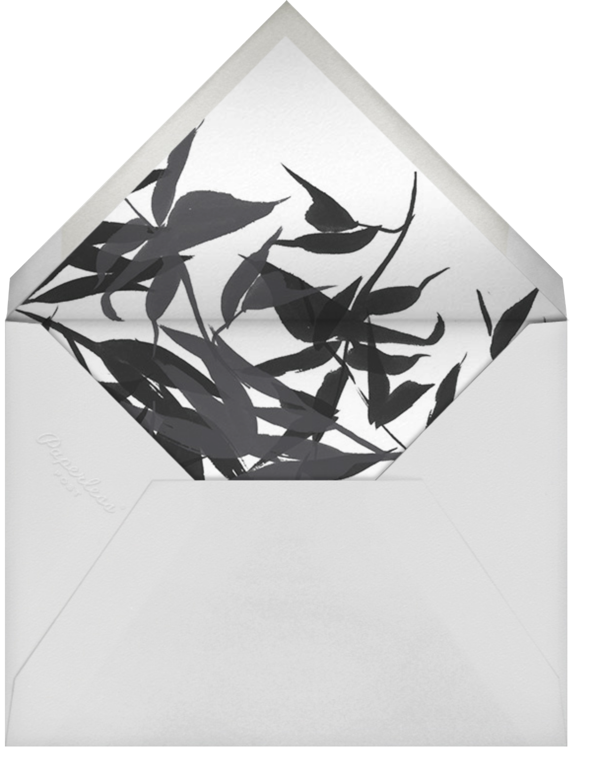 Custom Suite (Tall) - Paperless Post - Envelope