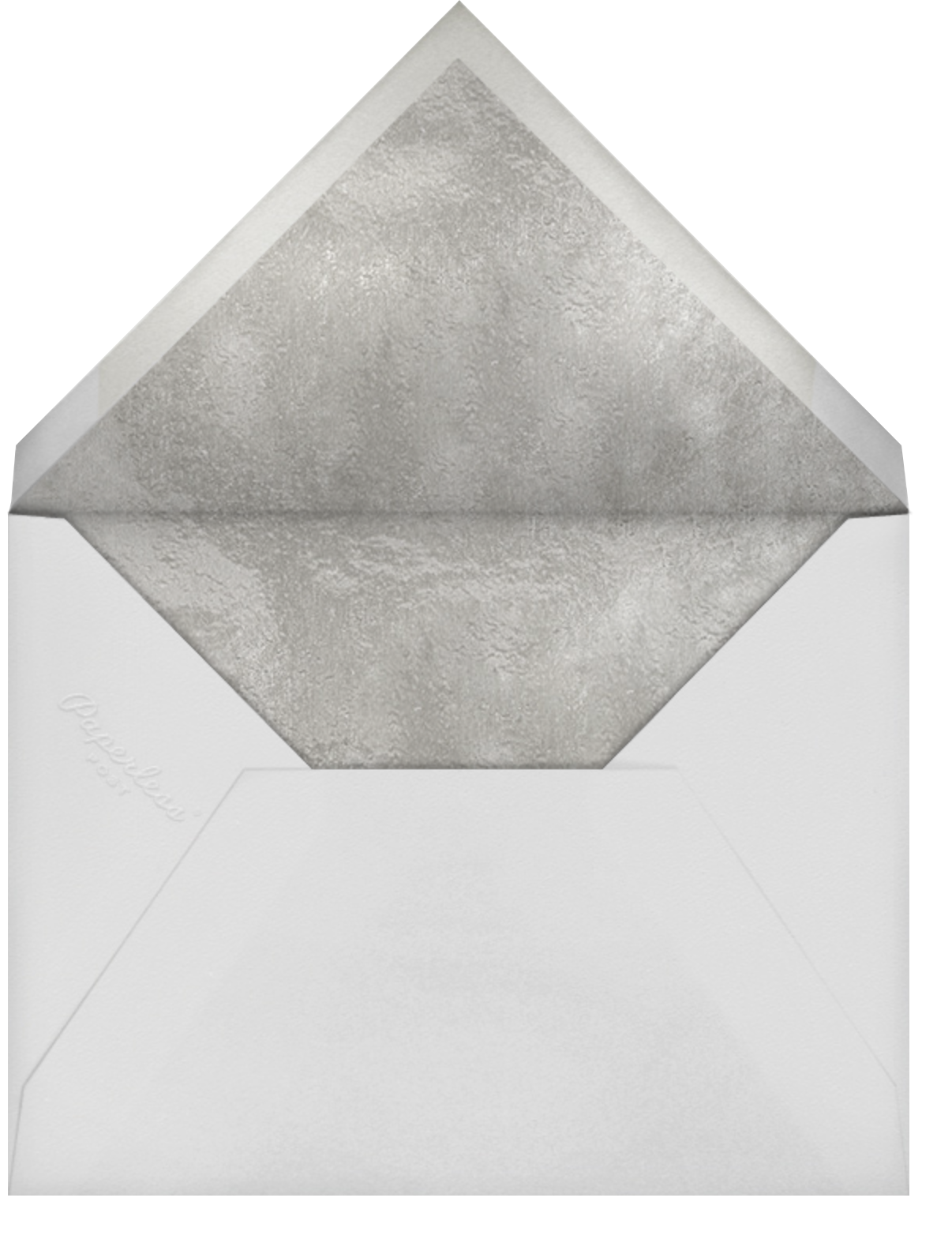 No Two Alike - Silver - Paperless Post - Envelope