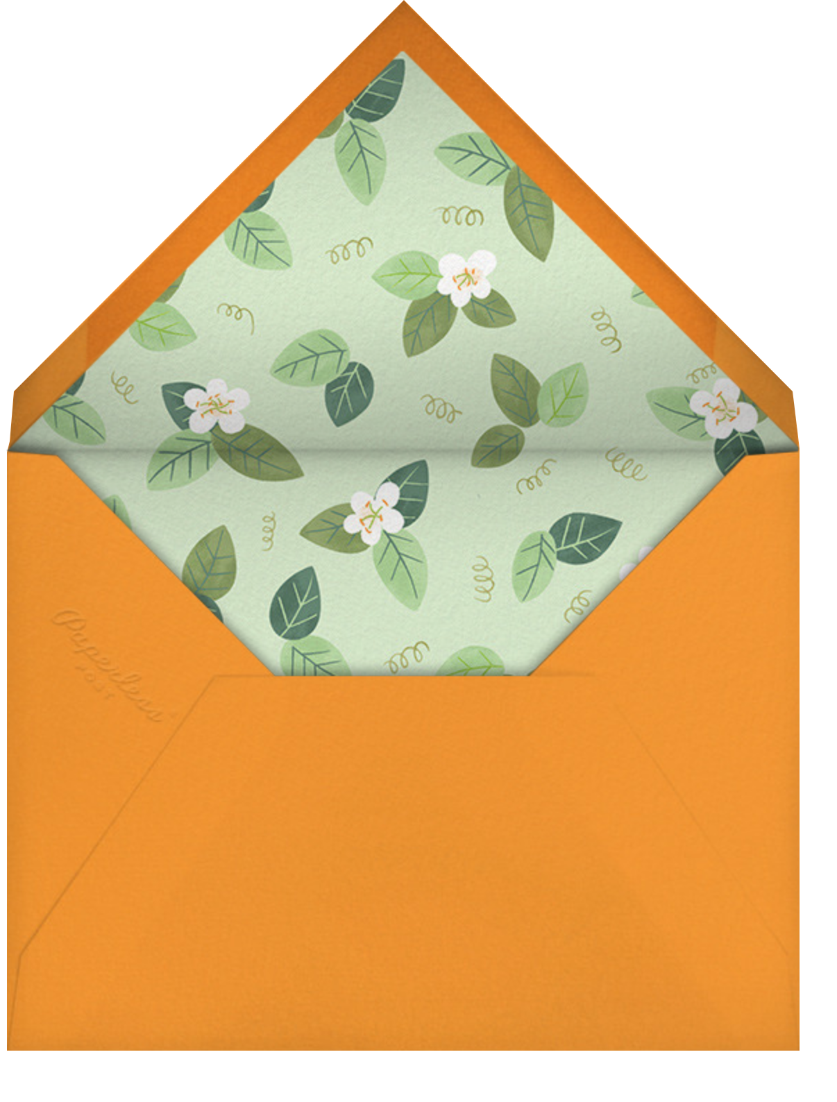 Orange Blossom Trim - Paperless Post - Envelope