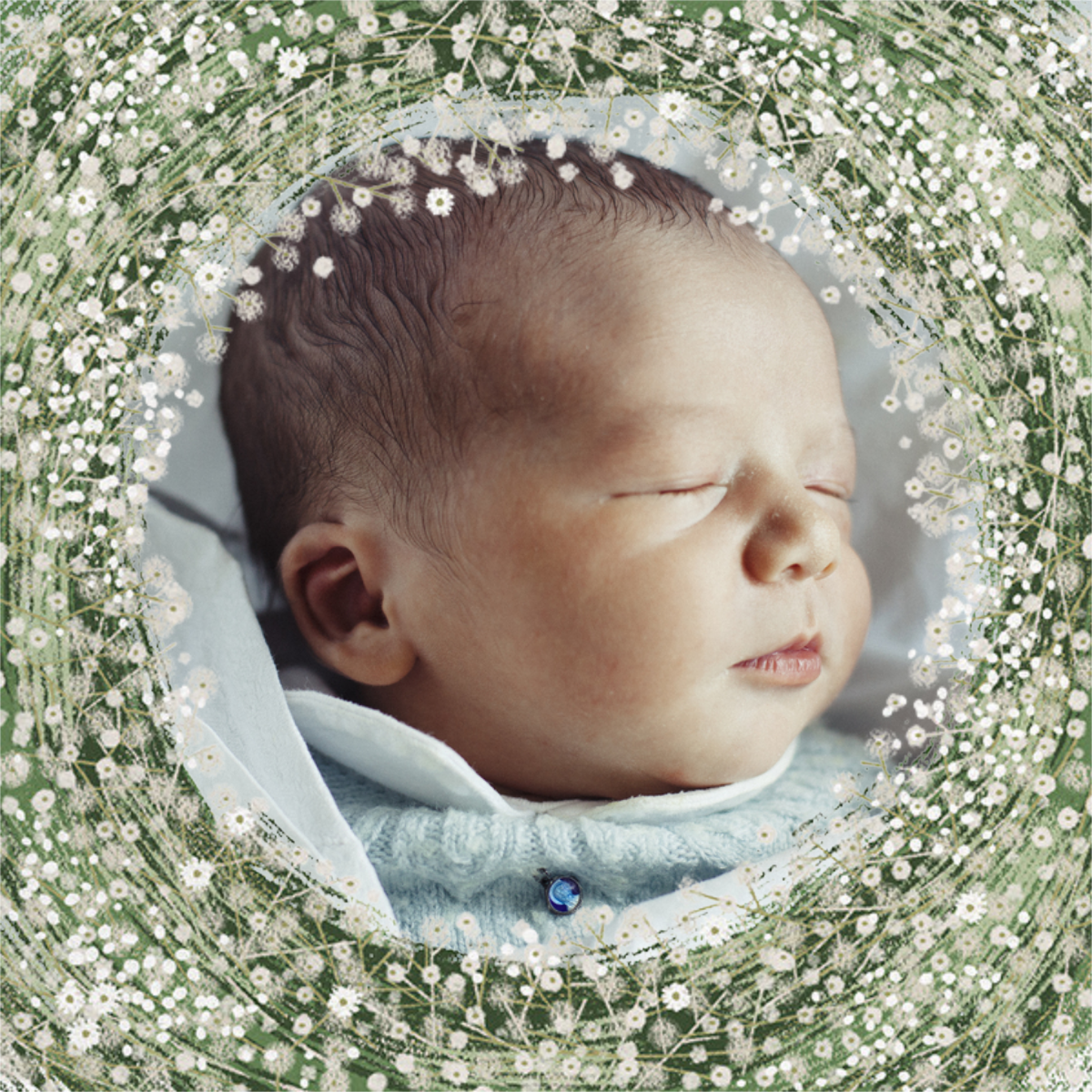 paperless post baby announcement