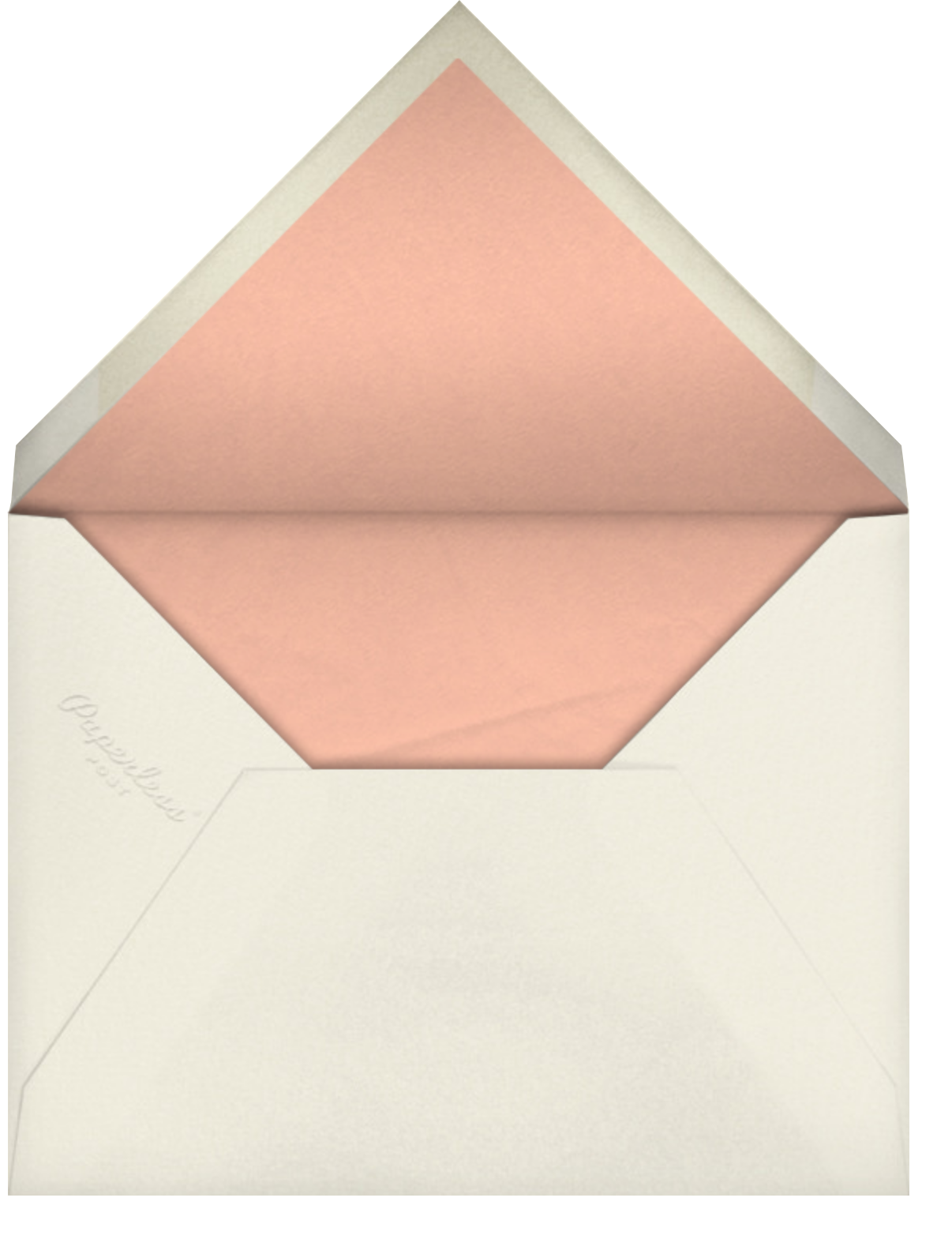 Rose Chintz - Anthropologie - Envelope