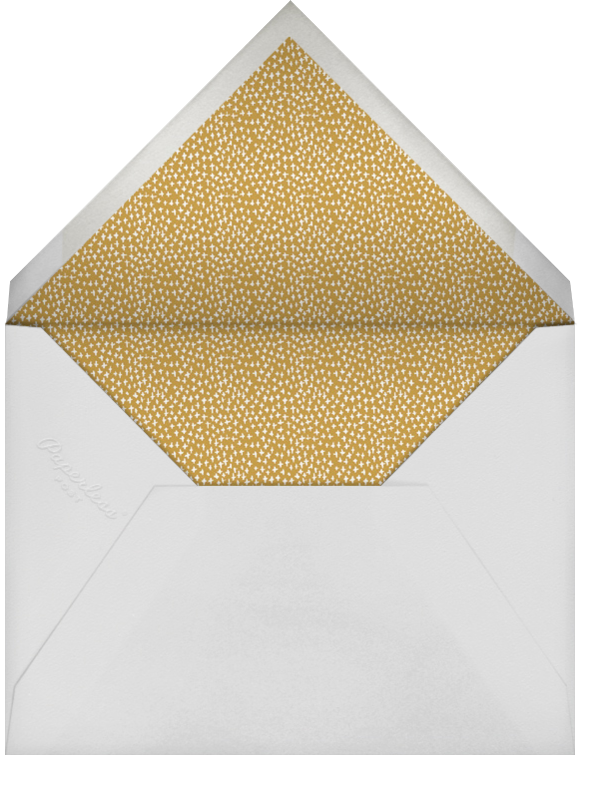 Among the Daisies - Amazon - Mr. Boddington's Studio - Envelope