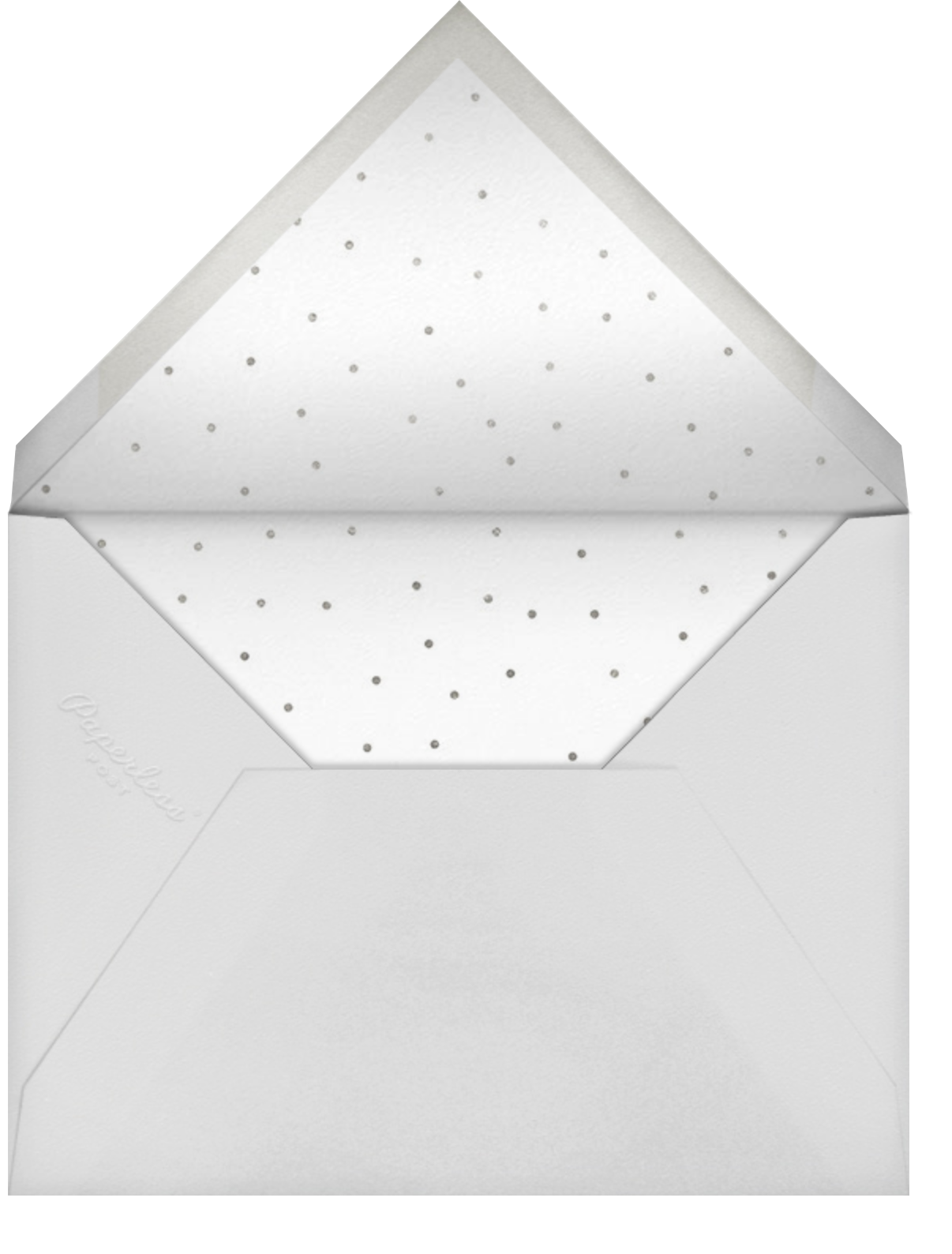 Winding Glitter - Slate - Paperless Post - Envelope