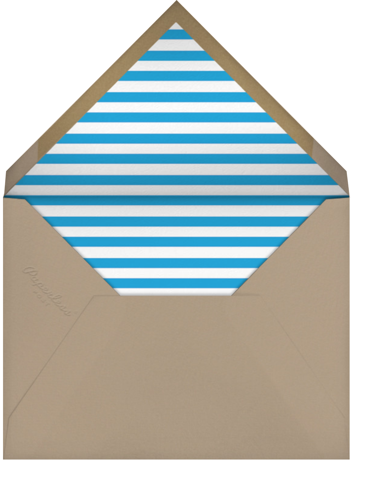 Minimalist New Year (Tall, 7 Photos) - Paperless Post - Envelope
