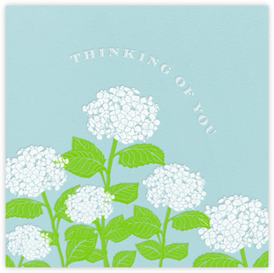 Hydrangea - Thinking of You (Light Blue) - Paperless Post - Get Well Cards