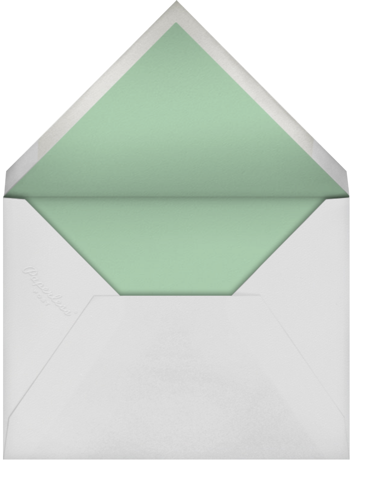 Gingham Shower Photo - Green - Meri Meri - Envelope