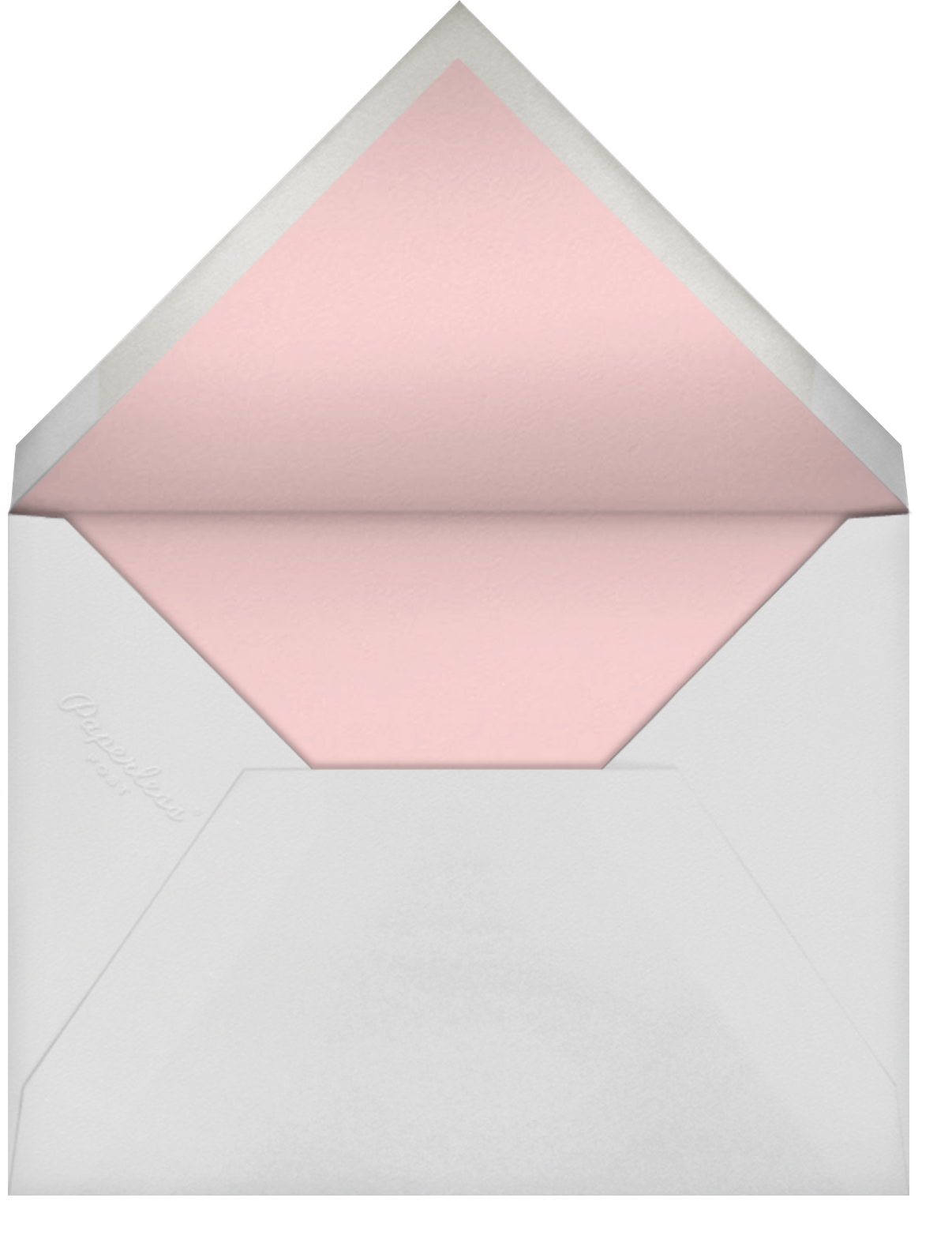 Gingham Shower Photo - Pink - Meri Meri - Envelope