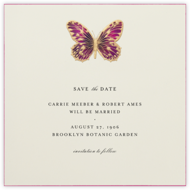 Hand Painted Butterfly - Magenta - Bernard Maisner - Classic save the dates