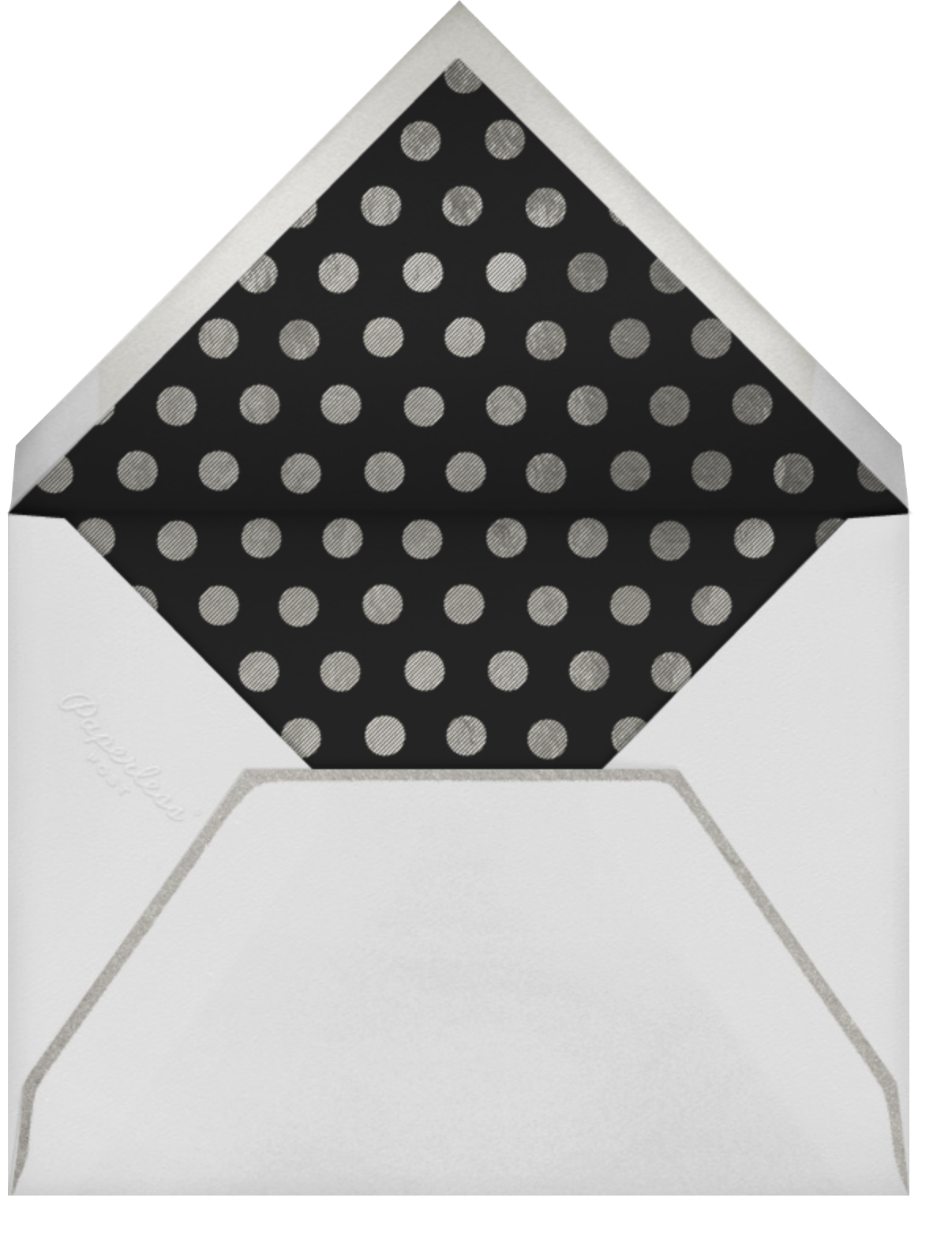 Deckle - Silver Tall - Paperless Post - Envelope